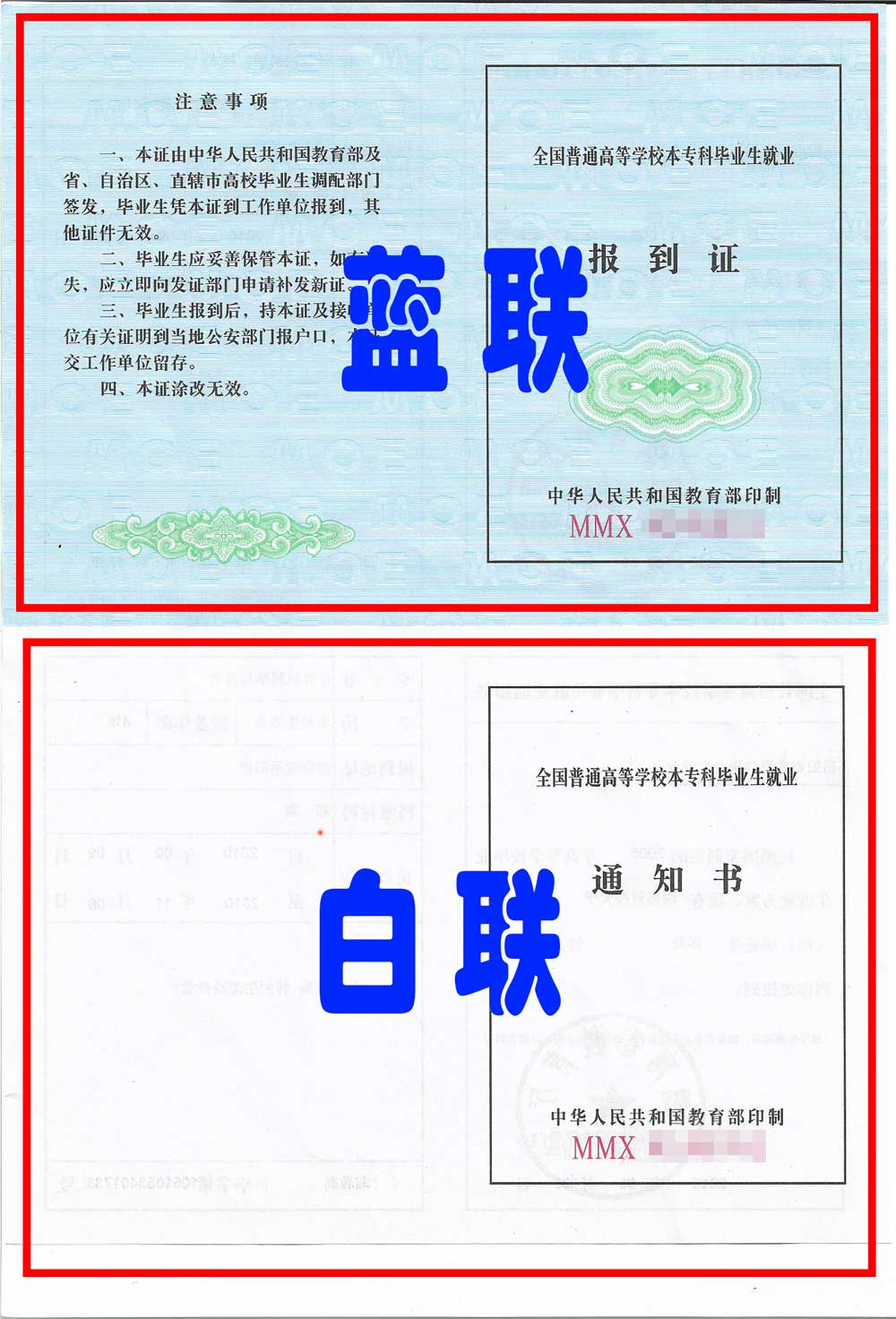 报到证样张 报到证样张